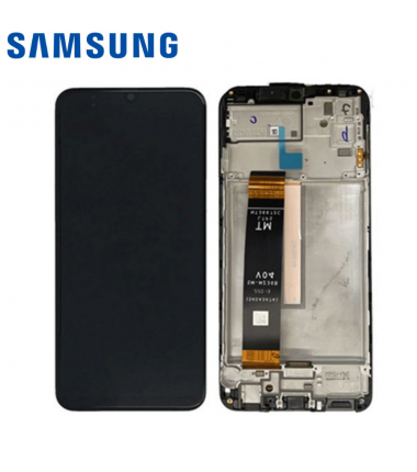 Ecran Complet Samsung Galaxy M33 (M336B) Noir