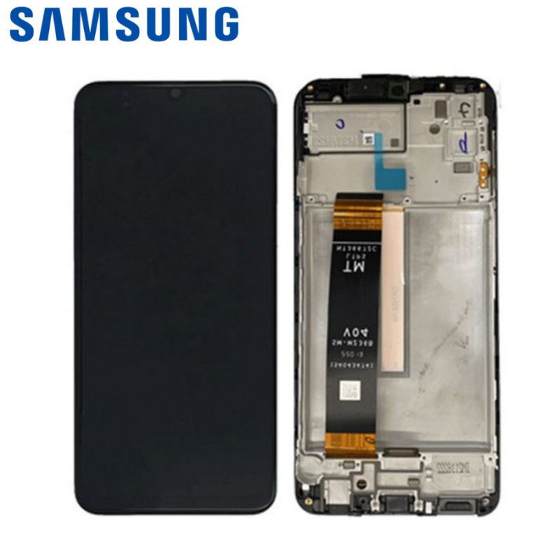 Ecran Complet Samsung Galaxy M33 5G (M336B) Noir