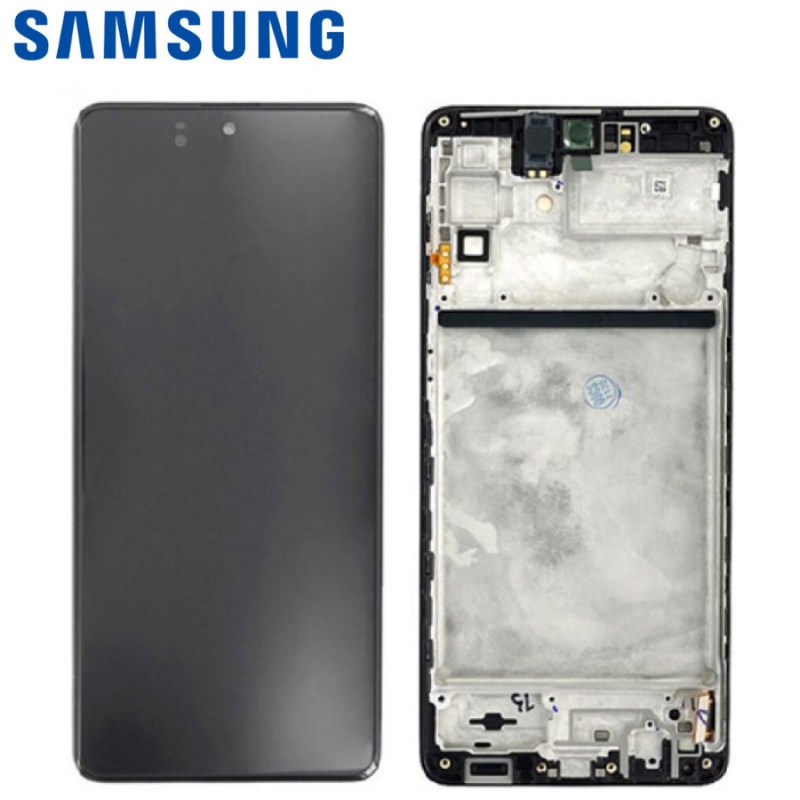 Ecran Complet Samsung Galaxy M53 5G (M536F) Noir