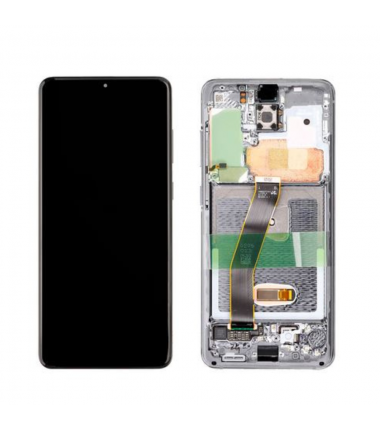Ecran complet pour Samsung Galaxy S20 4G (G980F), 5G (G981B) Gris