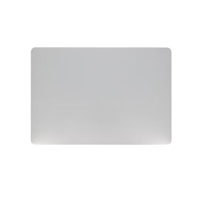 Ecran complet pour MacBook Air 13" (A1932 (2018/2019) / A2179 (2020)) Argent