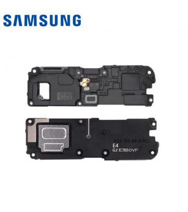 Haut parleur Samsung Galaxy A54 5G (A546B)