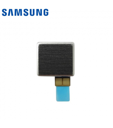 Vibreur Samsung Galaxy A54 5G (A546B)