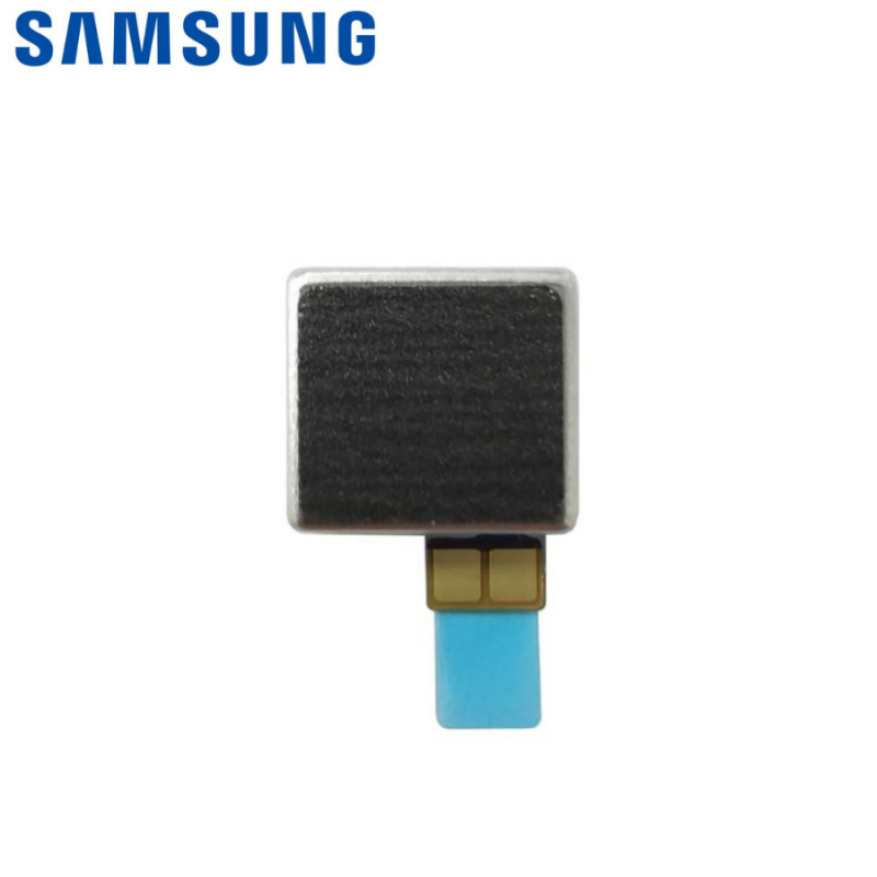Vibreur Samsung Galaxy A54 5G (A546B)