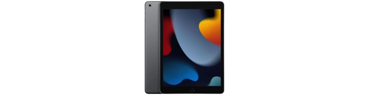 iPad 10 (A2696/A2757/A2777)