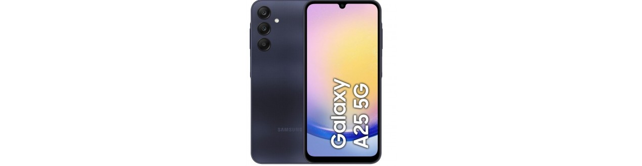 Galaxy A25 5G (A256B)