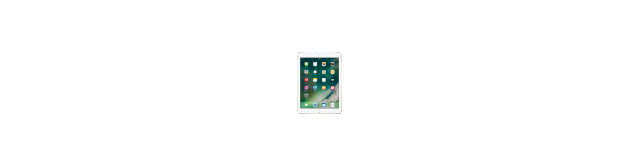 iPad 5 (A1822/A1823)