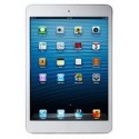 iPad Mini 2 (A1489/A1490)