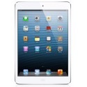 iPad Air 2 (A1566/A1567)